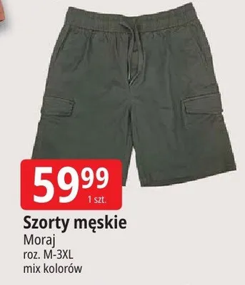 Szorty męskie Moraj roz. M-3XL mix kolorów promocja w Leclerc