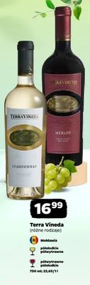 Wino białe półwytrawne Terra Vineda promocja w Netto