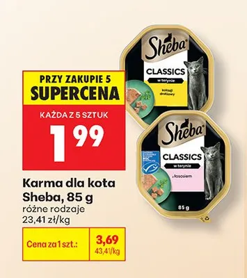 Karma dla kota Sheba promocja w Biedronka