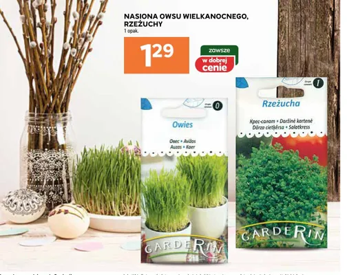 Nasiona owsu wielkanocnego, rzeżuchy promocja w Stokrotka