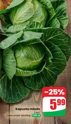 Kapusta młoda 1 szt. Dino promocja w Dino