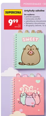 Kołonotes A5/80 Pusheen promocja w Biedronka