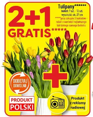 Tulipany bukiet promocja w POLOmarket