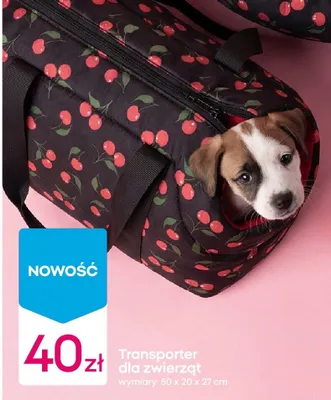 Transporter dla zwierząt 50x20x27cm promocja w Pepco