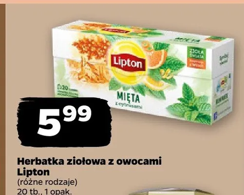Herbatka ziołowa z owocami Lipton promocja w Netto