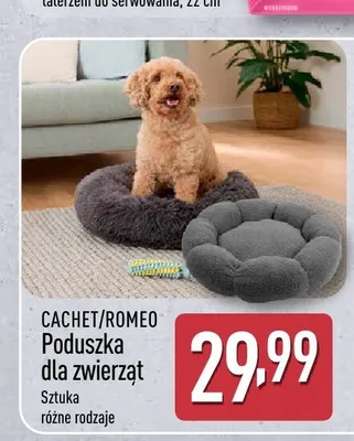 Poduszka dla zwierząt CACHET/ROMEO promocja w Aldi