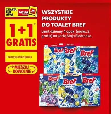 Zawieszka do WC Bref Color Aktiv Eucalyptus promocja w Biedronka