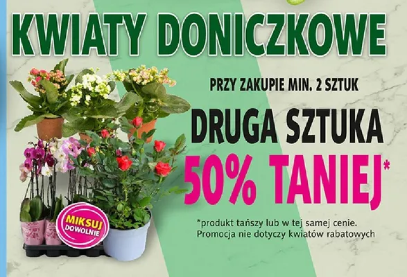 Kwiaty doniczkowe promocja w Prim Market