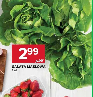 Sałata masłowa promocja w Stokrotka
