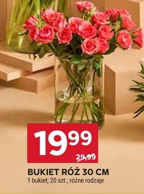 Bukiet róż 30 cm promocja w Stokrotka
