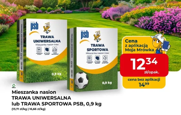 Mieszanka nasion trawa sportowa promocja w PSB Mrówka