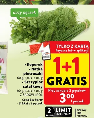 Szczypior sałatkowy Z Sadów i Pól promocja w Intermarche