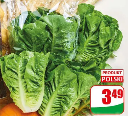Sałata rzymska mini promocja w Dino