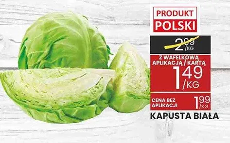 Kapusta biała promocja w Wafelek