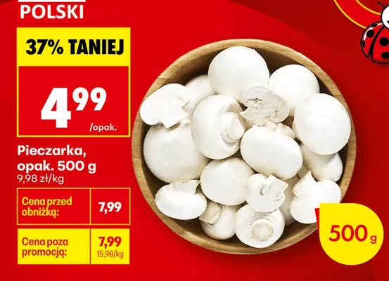 Pieczarka polska promocja w Biedronka