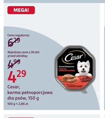 Karma pełnoporcjowa dla psów Cesar promocja w Rossmann