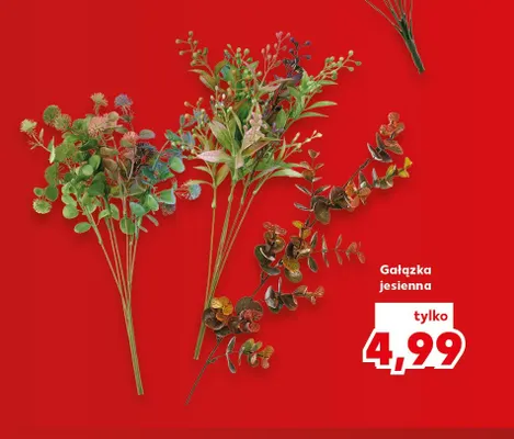Gałązka jesienna promocja w Kaufland