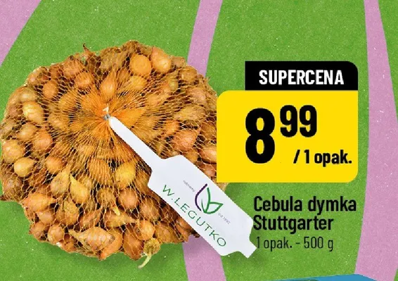 Cebula dymka Stuttgarter W. Legutko promocja w POLOmarket