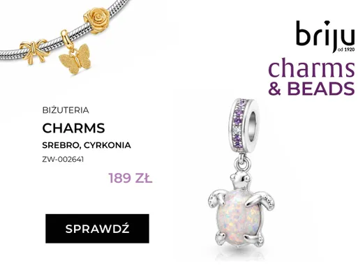 Zawieszka charms srebrna z cyrkoniami Briju ZW-002641 promocja w Briju
