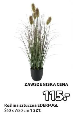 Roślina sztuczna EDERFUGL promocja w Jysk