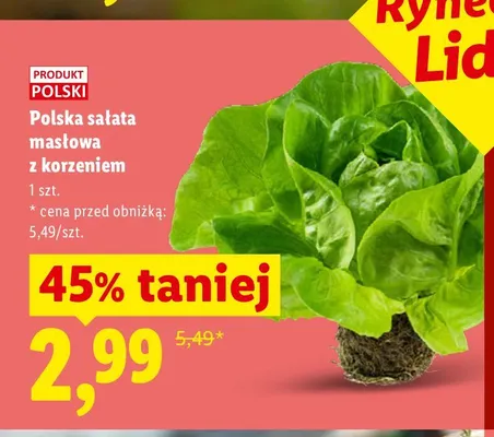 Sałata masłowa z korzeniem polska promocja w Lidl