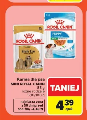Karma dla psa Royal Canin Shih Tzu Adult promocja w Carrefour Market