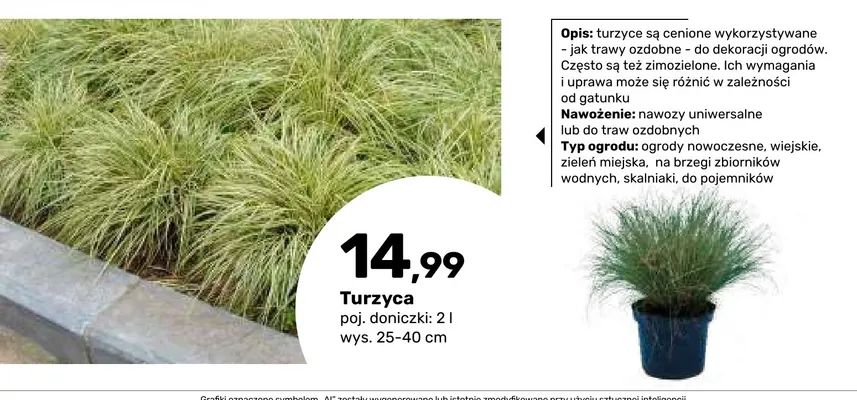 Turzyca promocja w Bricomarche
