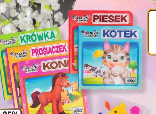 Książeczka bajeczki z zagrody różne rodzaje Dino promocja w Dino