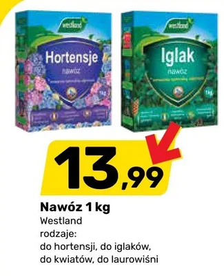 Gazetka, strona 12 promocja w Bricomarche