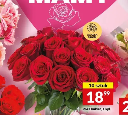 Róża bukiet główka 3,8cm 10-pak promocja w Twój Market