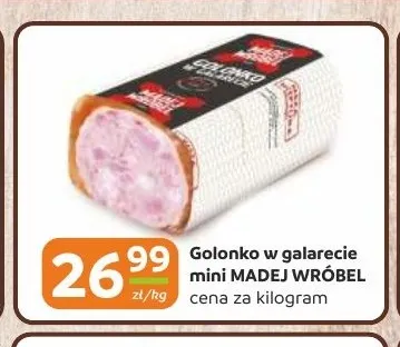Golonko w galarecie mini Madej Wróbel promocja w Gama