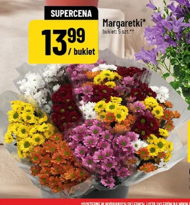 Margaretki promocja w POLOmarket
