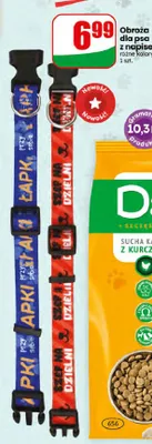 Obroża dla psa z napisem promocja w Dino