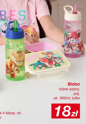 Bidon Paw Patrol 300 ml promocja w KiK