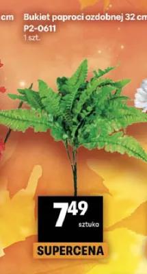 Bukiet paproci ozdobnej 32 cm P2-0611 promocja w Delikatesy Centrum