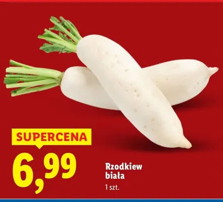 Rzodkiew biała promocja w Lidl