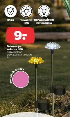 Dekoracja solarna LED (różne kolory) promocja w Netto