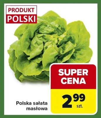 Polska sałata masłowa promocja w Carrefour Express