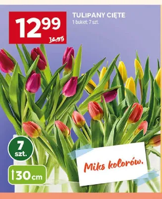 Tulipany cięte 30cm promocja w Stokrotka