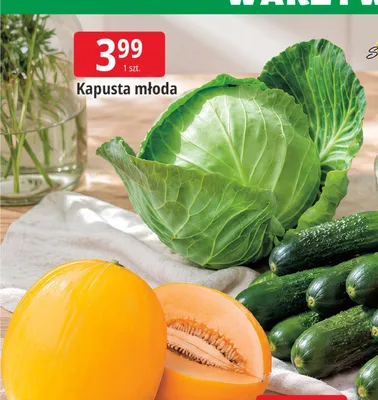 Kapusta młoda promocja w Leclerc
