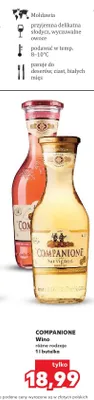 Wino różowe Companione promocja w Kaufland