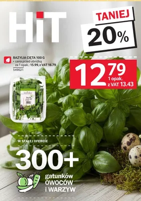 Bazylia cięta promocja w Selgros