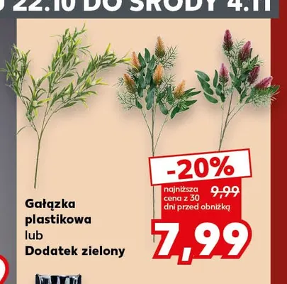 Dodatek zielony promocja w Kaufland