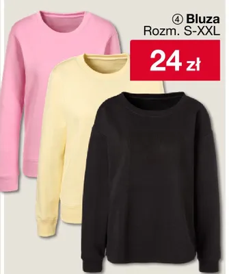 Bluza damska Rozm. S-XXL promocja w Woolworth
