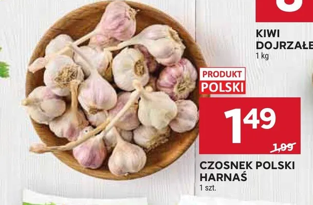 Czosnek polski harnaś promocja w Stokrotka