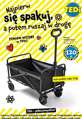 Wózek transportowy składany promocja w Tedi
