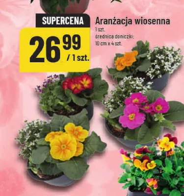 Aranzacja wiosenna promocja w POLOmarket