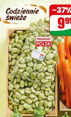 Bób promocja w Dino