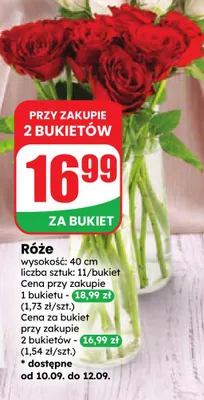 Róże promocja w Dino