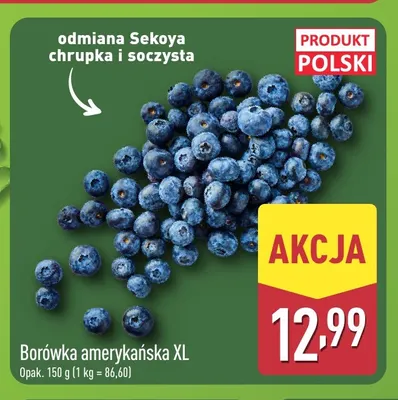 Borówka amerykańska XL promocja w Aldi